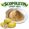Scopoletin Thực Vật
