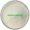 Enzyme Cellulase
