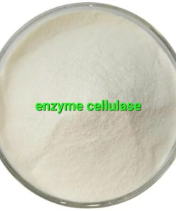 Enzyme Cellulase