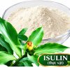 Isulin Thực Vật